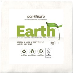Writer Breakroom Earth Eco Lunch Napkin 1 Ply 300 x 300mm White 100 Sheets