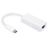 Astrotek Thunderbolt Adapter Type C (USB-C) to RJ45 Ethernet White
