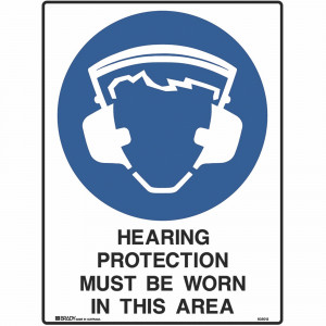 Brady Mandatory Sign Hearing and Eye 450x600mm Polypropylene
